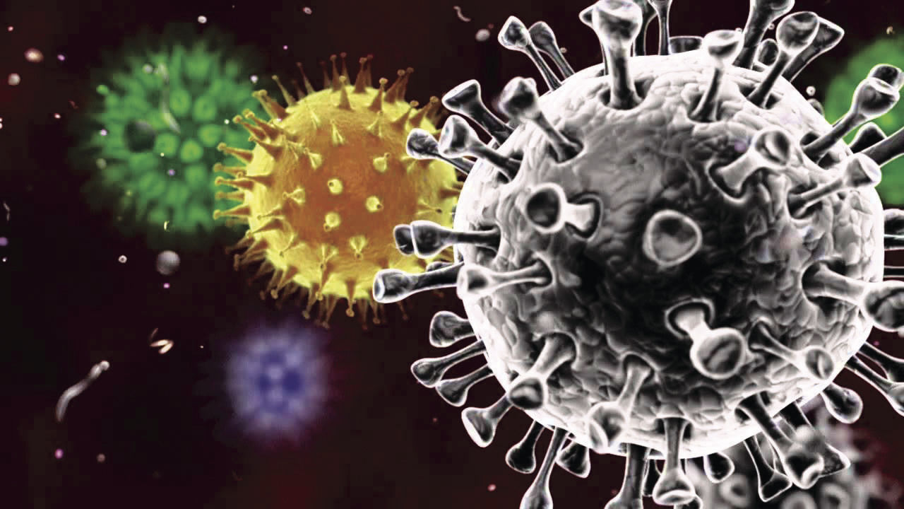 Virus